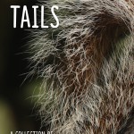 Unlikely Tails